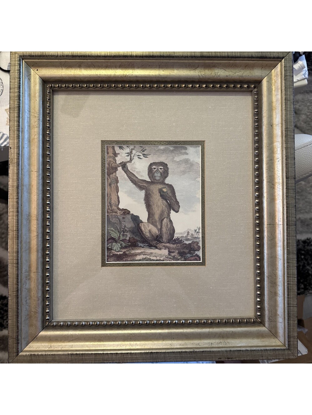 George Buffon Monkey VII Magot Art Copper Plate Engraving Framed Matted